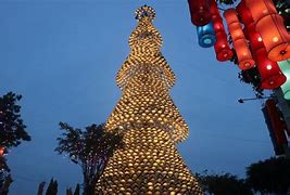 Cây Thông Noel Ở Nhà Thờ