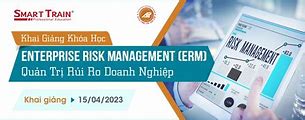 Sách Quản Trị Rủi Ro Doanh Nghiệp