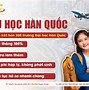 Yêu Cầu Khi Đi Xuất Khẩu Hàn Quốc Quốc Tế Tại Việt Nam